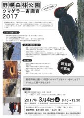 野鳥お勉強会 活動記録